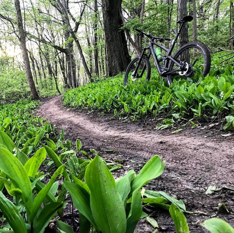 Raceway Woods - Chicago Area Mountain Bikers